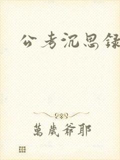公考沉思录封面