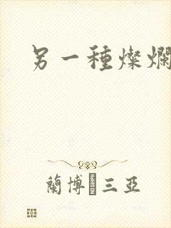 另一种灿烂生活