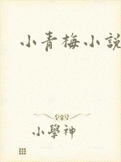 小青梅小说封面