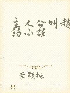 主人公叫赵凤声的小说