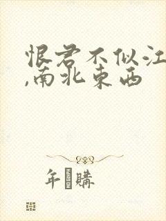 恨君不似江楼月,南北东西