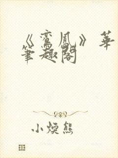 《鸾凤》华阙阙笔趣阁封面