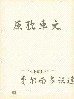 原耽车文