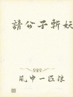 请公子斩妖境界