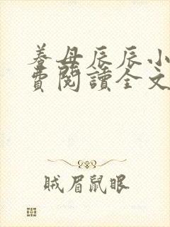 养母辰辰小说免费阅读全文最新章节