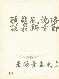 顾朔风沈珞舒小说最新章节更新内容封面