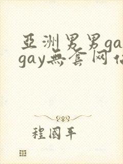 亚洲男男gaygay无套网站