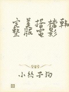 完美搭档韩国完整版电影封面