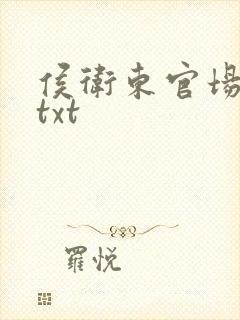 侯卫东官场笔记txt