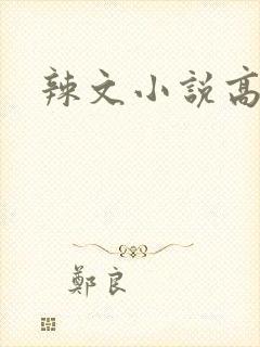 辣文小说高h