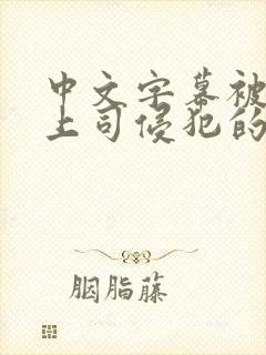 中文字幕被丈夫上司侵犯的人妻