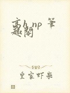 高h np 笔趣阁封面