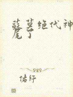 苏莫绝代神主烂尾了