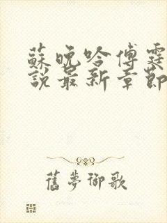 苏晚吟傅霆骁小说最新章节更新时间