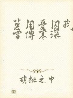 莫用爱囚我宋初雪傅寒深封面