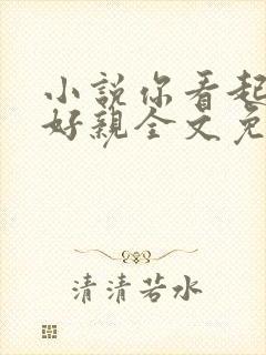 小说你看起来很好亲全文免费阅读