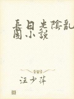 长日光阴乱作一团小说