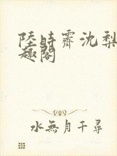 陆时霁沈梨初笔趣阁封面