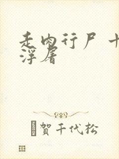 走肉行尸 十阶浮屠封面