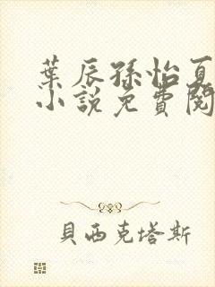 叶辰孙怡夏若雪小说免费阅读全文