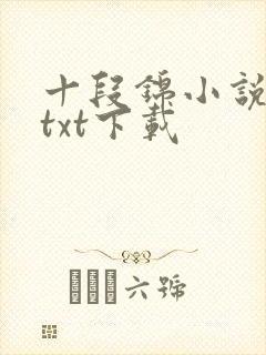 十段锦小说全本txt下载封面