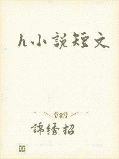h小说短文封面