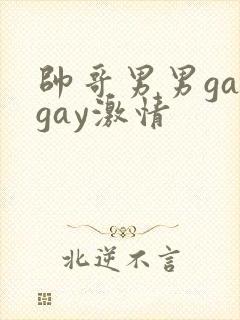 帅哥男男gaygay激情封面