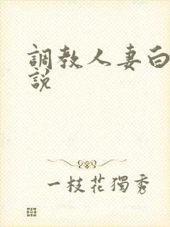 调教人妻白领小说封面