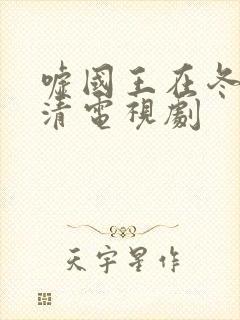 嘘国王在冬眠高清电视剧