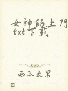 女神的上门豪婿 txt下载封面