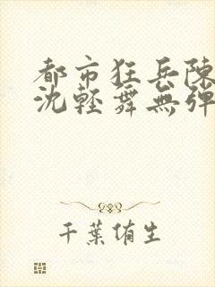 都市狂兵陈六何沈轻舞无弹窗