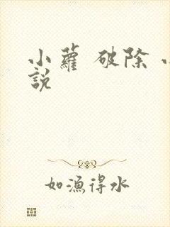 小萝 破除 小说