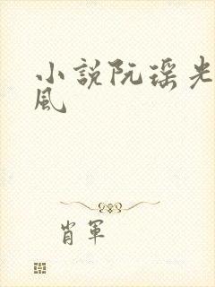 小说阮瑶光萧砚风封面