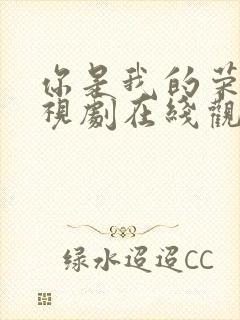 你是我的荣耀电视剧在线观看免费