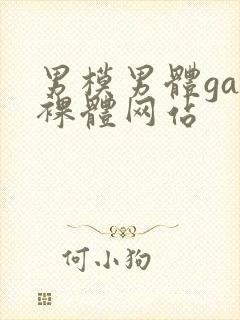 男模男体gay裸体网站