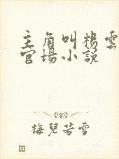 主角叫杨云风的官场小说封面