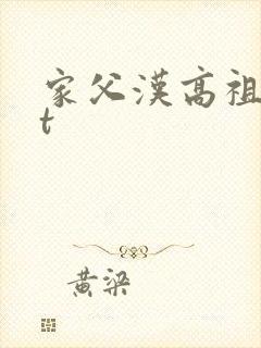 家父汉高祖txt