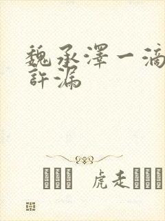 魏承泽一滴都不许漏封面