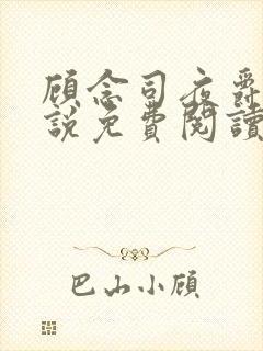 顾念司夜爵的小说免费阅读无弹窗