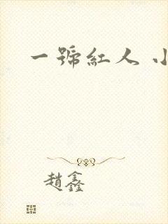 一号红人 小说