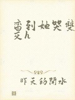 脔到她哭双根宫交h封面