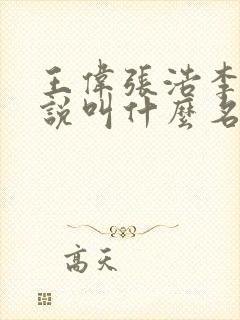 王伟张浩李倩小说叫什么名字