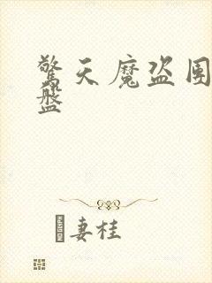 惊天魔盗团2网盘