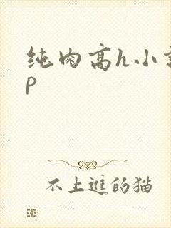 纯肉高h小说np