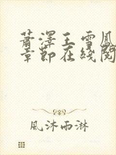 萧泽王雪凤全部章节在线阅读小说封面