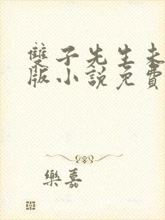 双子先生未删减版小说免费阅读封面