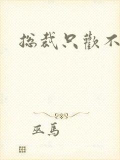 总裁只欢不爱封面