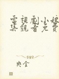 电视剧小娘惹全集观看免费封面