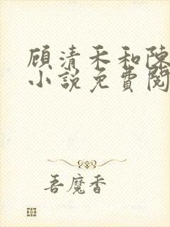 顾清禾和陈楚尧小说免费阅读