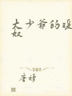 大少爷的暖床小奴